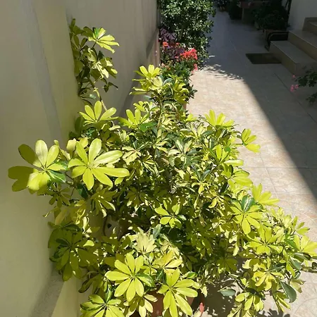 Pensión Gergana Kiten (Burgas)