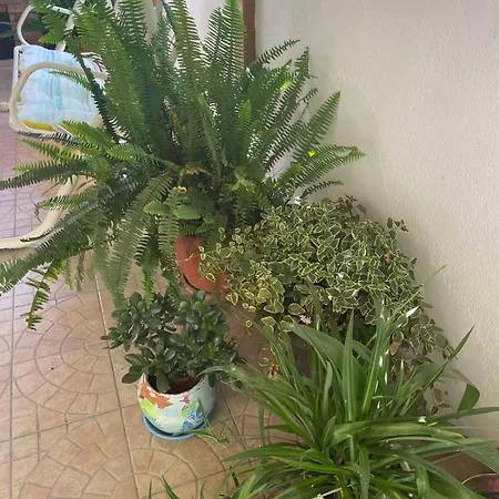 Gergana בית הארחה 4*