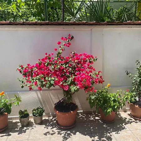 Гостевой дом Gergana 4*