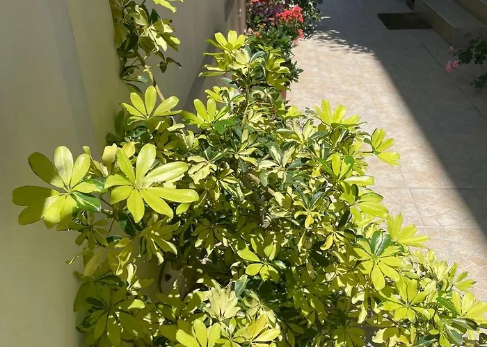 ゲストハウス Gergana キテン