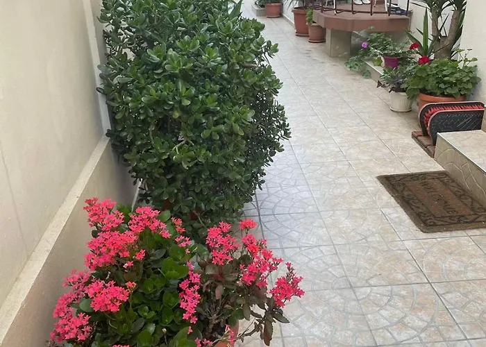 Gergana 4* キテン