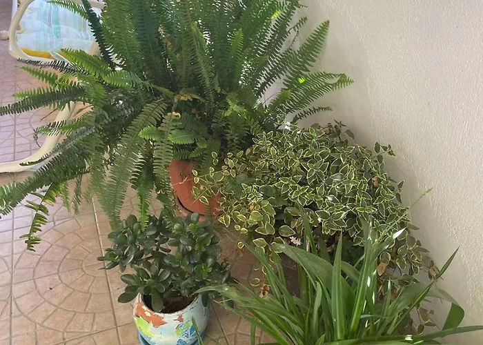 Gergana ゲストハウス 4*